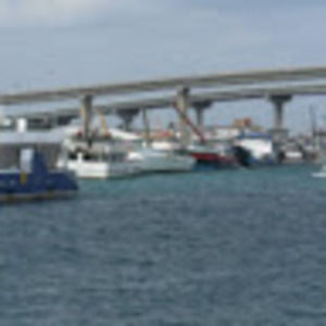 Meet your Posher, Hubert